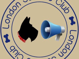 Introducing…Meeting Marshals